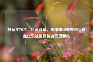 抖音买粉丝，抖音营销，揭秘如何有效购买粉丝亿乐社区低价自营货源站