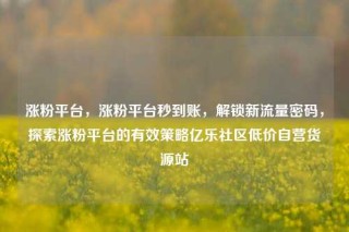 涨粉平台，涨粉平台秒到账，解锁新流量密码，探索涨粉平台的有效策略亿乐社区低价自营货源站