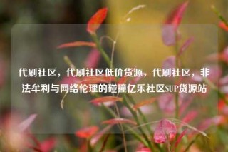 代刷社区，代刷社区低价货源，代刷社区，非法牟利与网络伦理的碰撞亿乐社区SUP货源站
