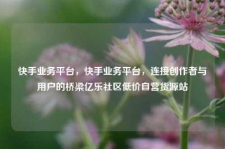 快手业务平台，快手业务平台，连接创作者与用户的桥梁亿乐社区低价自营货源站