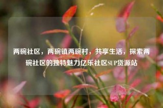 两碗社区，两碗镇两碗村，共享生活，探索两碗社区的独特魅力亿乐社区SUP货源站