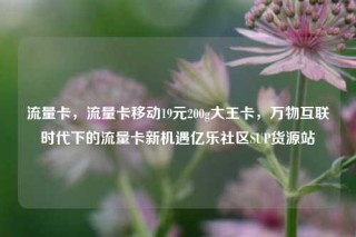 流量卡，流量卡移动19元200g大王卡，万物互联时代下的流量卡新机遇亿乐社区SUP货源站