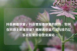 抖音刷播放量，抖音增加播放量的软件，如何在抖音上刷播放量？揭秘高收益方法与技巧亿乐社区低价自营货源站