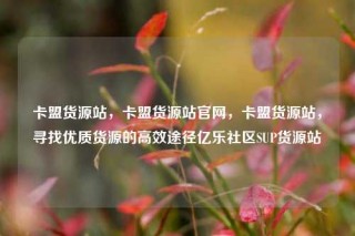 卡盟货源站，卡盟货源站官网，卡盟货源站，寻找优质货源的高效途径亿乐社区SUP货源站