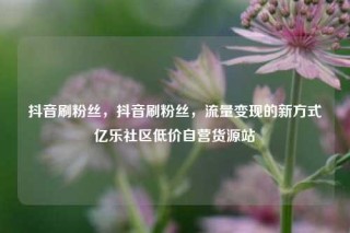 抖音刷粉丝，抖音刷粉丝，流量变现的新方式亿乐社区低价自营货源站