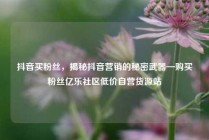 抖音买粉丝，揭秘抖音营销的秘密武器—购买粉丝亿乐社区低价自营货源站