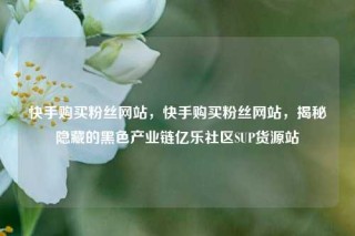 快手购买粉丝网站，快手购买粉丝网站，揭秘隐藏的黑色产业链亿乐社区SUP货源站