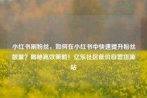 小红书刷粉丝，如何在小红书中快速提升粉丝数量？揭秘高效策略！亿乐社区低价自营货源站