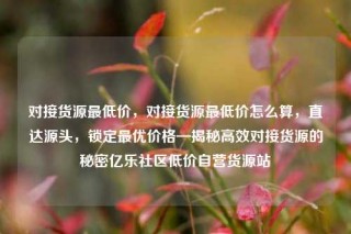 对接货源最低价，对接货源最低价怎么算，直达源头，锁定最优价格—揭秘高效对接货源的秘密亿乐社区低价自营货源站