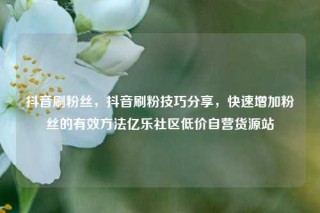 抖音刷粉丝，抖音刷粉技巧分享，快速增加粉丝的有效方法亿乐社区低价自营货源站