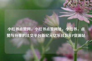 小红书点赞网，小红书点赞网址，小红书，点赞与分享的社交平台新纪元亿乐社区SUP货源站