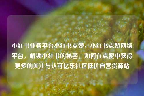 小红书业务平台小红书点赞	，小红书点赞网络平台，解锁小红书的秘密，如何在点赞中获得更多的关注与认可亿乐社区低价自营货源站  第1张