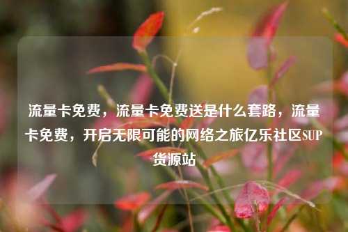 流量卡免费	，流量卡免费送是什么套路，流量卡免费，开启无限可能的网络之旅亿乐社区SUP货源站  第1张