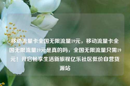移动流量卡全国无限流量19元，移动流量卡全国无限流量19元是真的吗，全国无限流量只需19元！开启畅享生活新旅程亿乐社区低价自营货源站  第1张