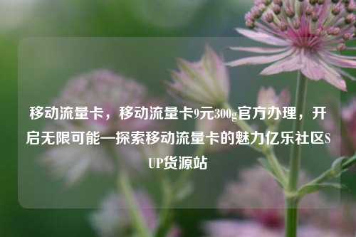 移动流量卡，移动流量卡9元300g官方办理	，开启无限可能—探索移动流量卡的魅力亿乐社区SUP货源站  第1张